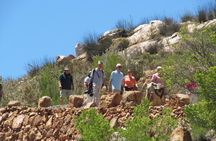 Cango Caves,Swartberg Pass,Prince Albert & Meiringspoort Daytrip