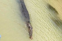Kakadu Yellow Waters Cruise & Katherine Gorge Helicopter Scenic