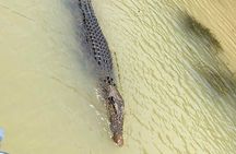 Kakadu National Park Scenic Flight &Yellow Water Cruise