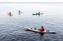 Helsinki by Kayak