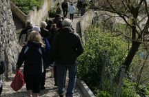 Half-Day Bosphorus Cruise to Black Sea from Istanbul with Lunch 