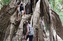 5 Days Amazon Jungle Adventure Tour
