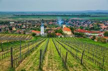Tokaj Full Day Private Wine Tour from Budapest