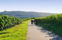 From Barcelona: E-Bike Tour in the vineyards with 2 Wineries