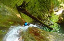 Ecouges sensational canyoning in the Vercors (Grenoble / Lyon)