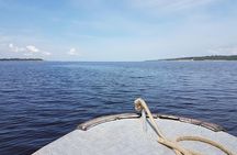 8-Hour Amazonas Jungle Treck & Anavilhanas Archipelago