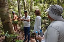 8-Hour Amazonas Jungle Treck & Anavilhanas Archipelago