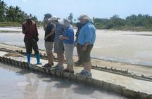 Visit Sisal Plantations & Processing Factory - Full Day Tour