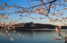 Tiananmen Square, Forbidden City and Cruise to the Summer Palace