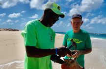  Gibbs Cay Stingray and Conch Dive Adventure