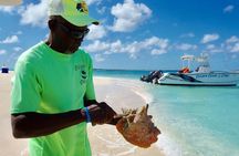  Gibbs Cay Stingray and Conch Dive Adventure
