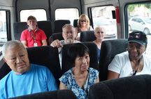 City Tour in Manaus at Teatro Amazonas and Praça da Matriz