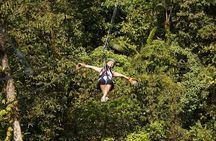 Zipline Tour in Braulio Carrillo National Park From San José