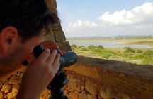 Vendicari - Sicily's best coast nature reserve ( Birdwatching & Archeology )