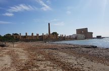 Vendicari - Sicily's best coast nature reserve ( Birdwatching & Archeology )