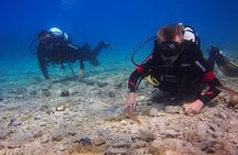 BRELA Bikini Dive *Try SCUBA DIVING*