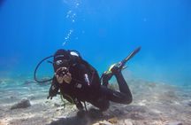 BRELA Bikini Dive *Try SCUBA DIVING*