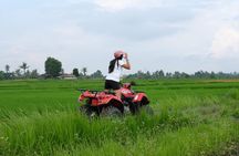 Bali Atv Quad Bike Through Tunnel and Waterfall