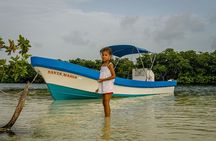 Nichupte Lagoon Wildlife Tour