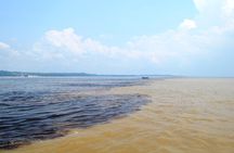 Amazon Negro River Half-Day Expedition Tour
