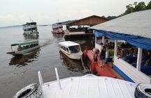 Amazon Negro River Half-Day Expedition Tour