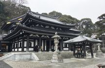 Exciting Kamakura - One Day Tour from Tokyo