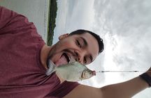 Solimoes River Piranha Fishing and Alligator Watching Tour