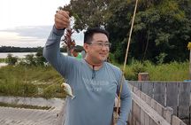 Solimoes River Piranha Fishing and Alligator Watching Tour