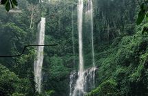 Bali Sekumpul with Fiji Waterfall & Bedugul Temple (Private Tour)