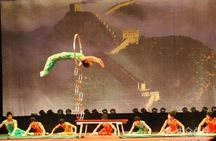 Private Tour: Shanghai Acrobatic Show and Authentic Dim Sum