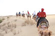 Half Day Desert Safari Jaisalmer