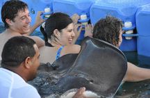 Sharks & Stingrays Encounter and Small Boat Ride from Punta Cana
