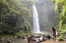 Private Full-Day West Bali Tour with Waterfall Visit