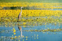 From Thessaloniki: Private Day Trip to Kerkini Lake