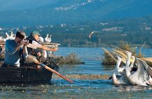 From Thessaloniki: Private Day Trip to Kerkini Lake
