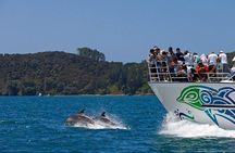 Private Tour: Bay of Islands Day Trip from Auckland