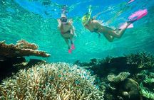 Roatan Private Catamaran Shipwreck, Blue Channel and Starfish with Transfer