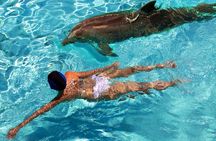 St Thomas~St John Snorkel, Swim & Beach Trip on MV Island Flyer