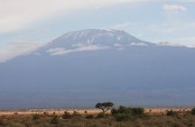 2- Day Diani to Amboseli Flying Safari