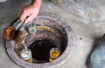 Organic wine tasting tour of Kakheti with lunch at a winery