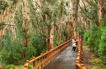 Bariloche 3 tours Classic package The most requested tours in 1 booking