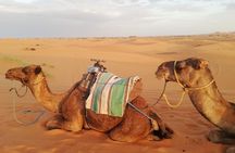  Desert Trip from Fes to Fes via Merzougua (2days,1night)