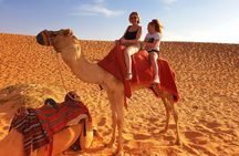 Morning Desert Safari with 4x4 Dune bashing, Camel Ride and Sandboarding