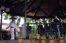 Tonala and Tlaquepaque Cultural Tour