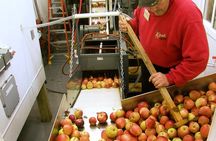 Fly Creek Cider Mill & Orchard - Private Tour with Owner