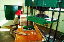 Fly Creek Cider Mill & Orchard - Private Tour with Owner