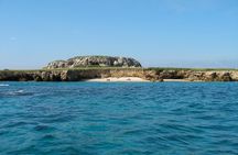Whale Watching and Snorkeling in Marietas Islands National Park