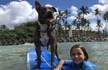 Surf with a Service Animal 