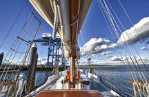 Afternoon Schooner Sightseeing Dolphin Cruise
