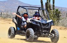 Candelaria Beach and Desert UTV Adventure